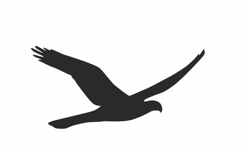 Vogel aufkleber wintergarten - aufkleber,