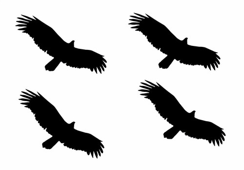 Stück vögel aufkleber - stück,
