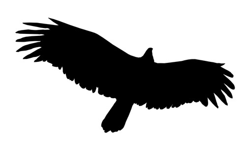 Vögel vogel aufkleber - vogel,