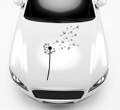 Aufkleber pusteblume sticker - pusteblume,